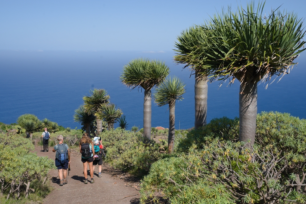 Coastal walk El Tablado, La Palma Slide 6