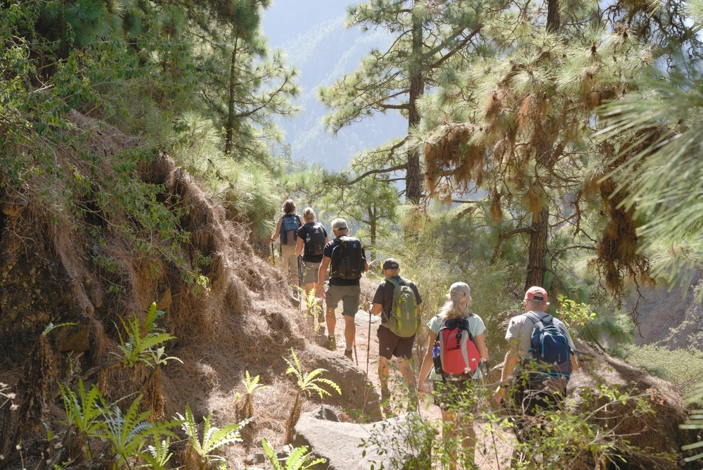 Ruta Angustias, La Palma Slide 3