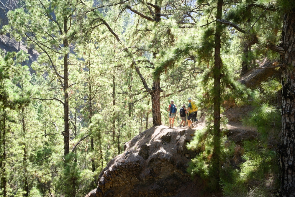 Ruta Angustias, La Palma Slide 8