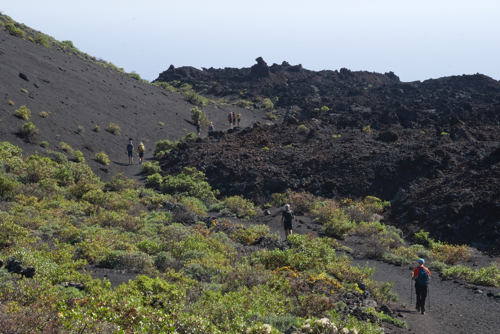 Southern Volcanoes, La Palma Slide 3