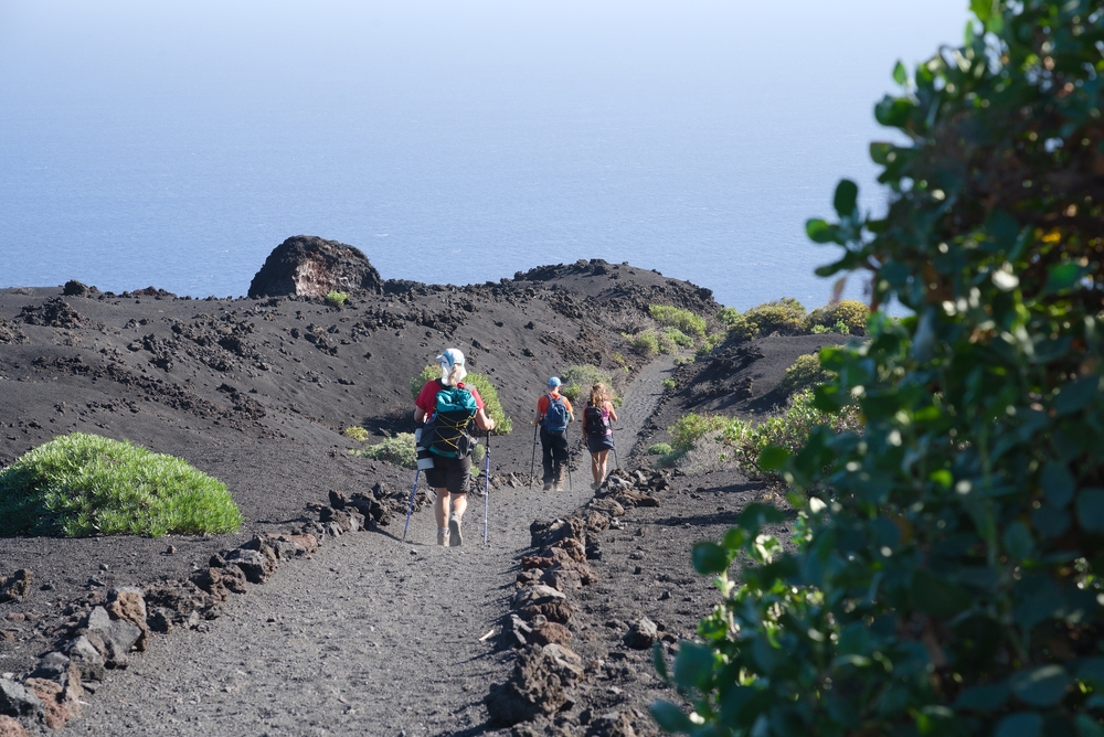 Southern Volcanoes, La Palma Slide 8