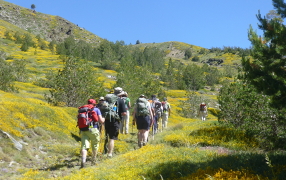 Walks in the mountains of the Costa del Sol