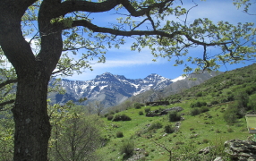 Hikes on the Vereda de Estrella