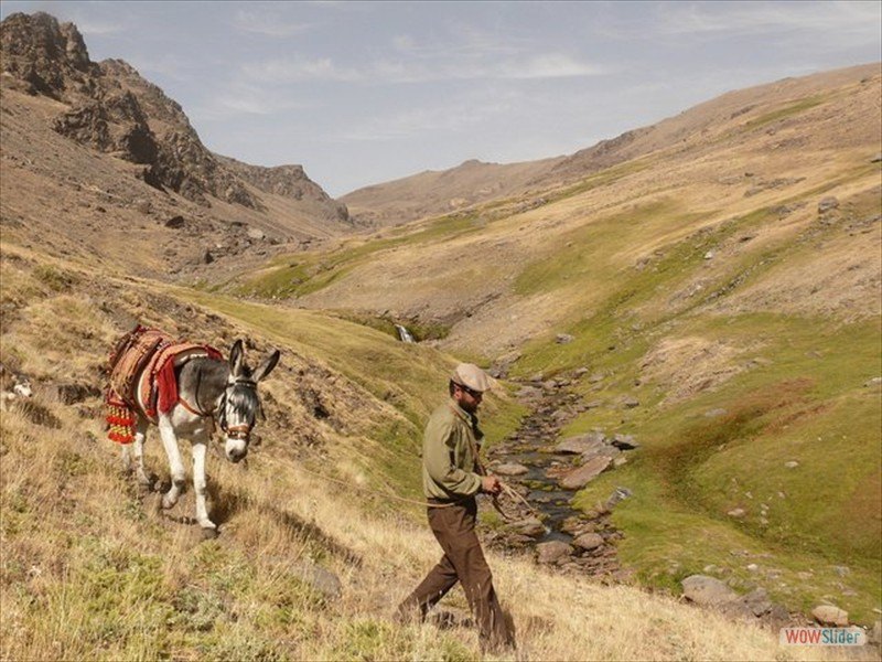 Backpacking with donkeys Slide 2