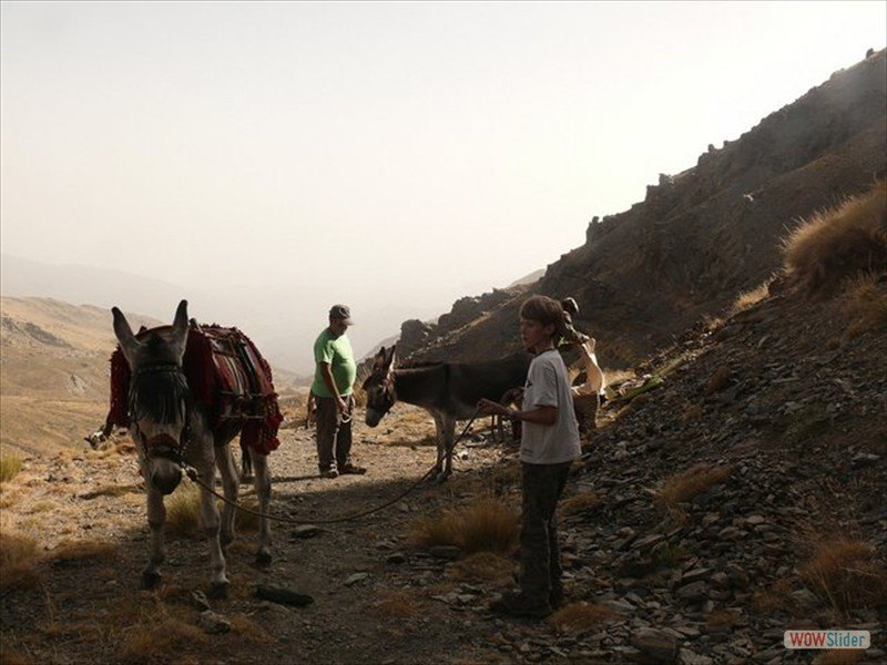 Backpacking with donkeys Slide 3