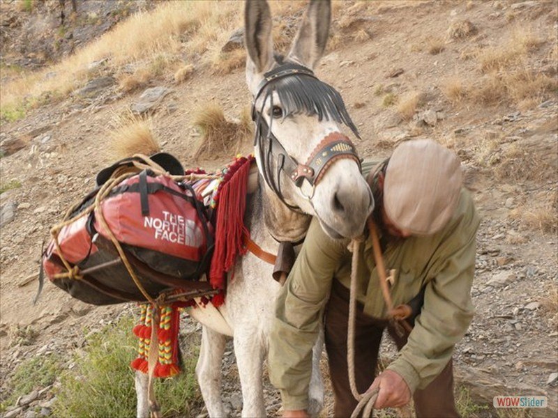 Backpacking with donkeys Slide 4