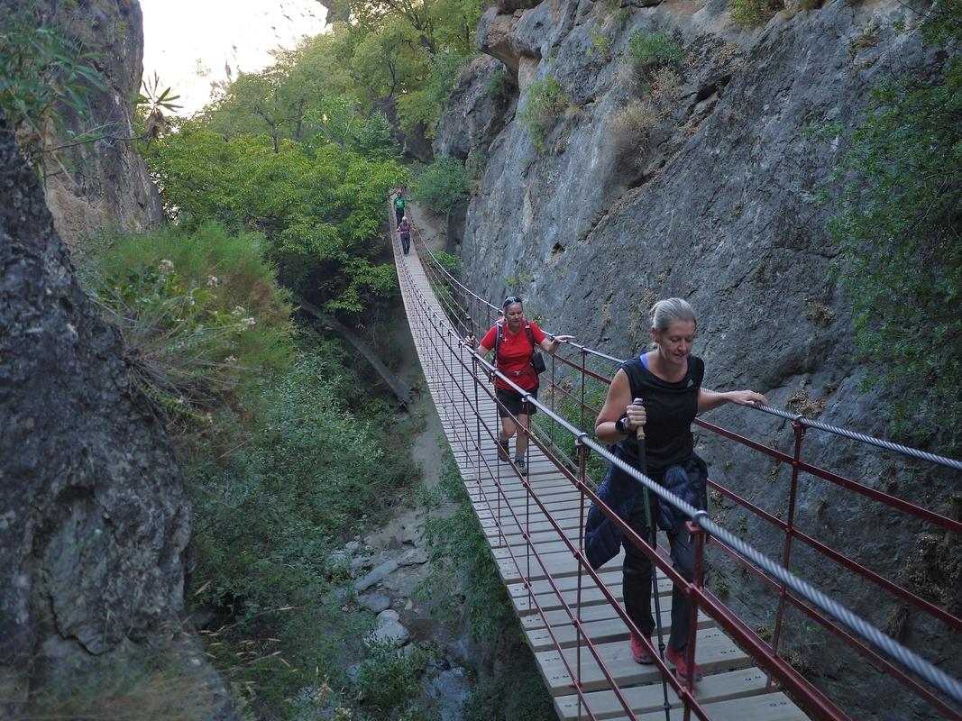 Bridge in the gorge