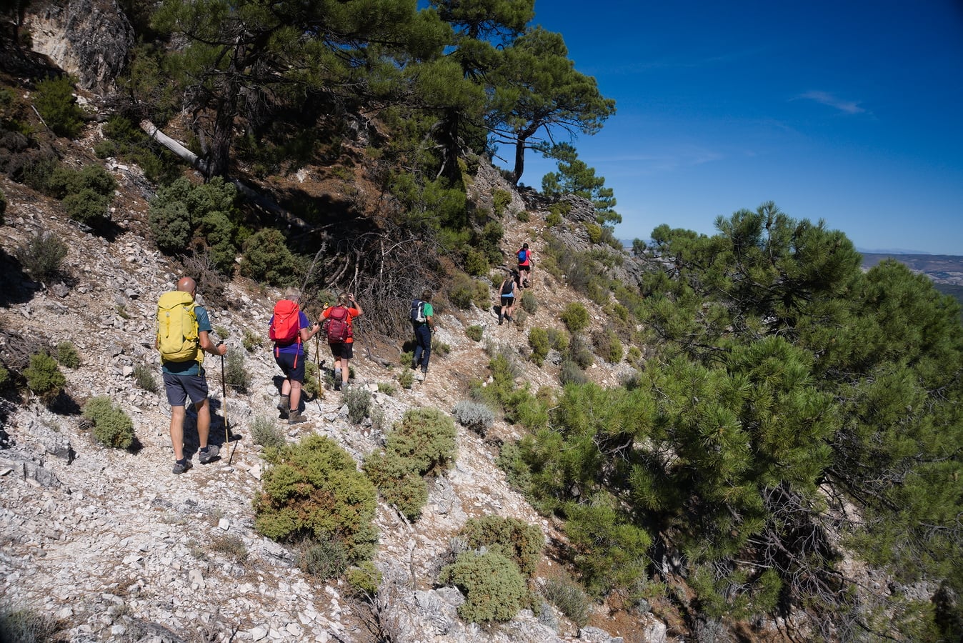 Traversing to the Mirador de Agua