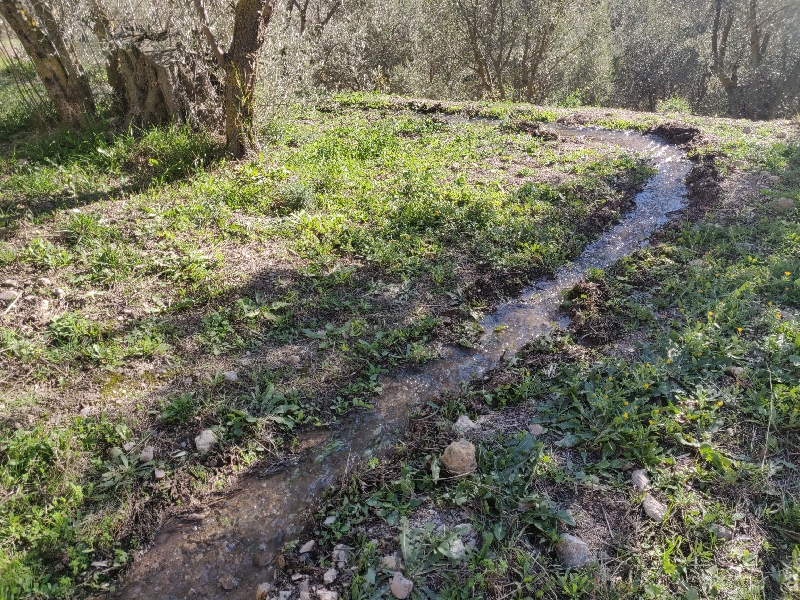 water irrigation 2