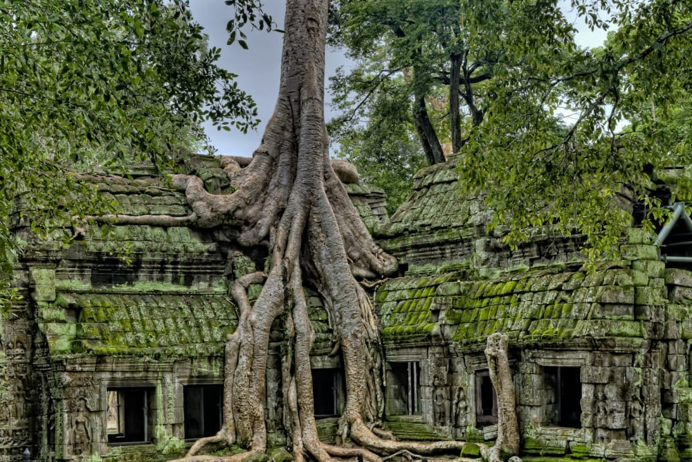 Cambodia photograph 07