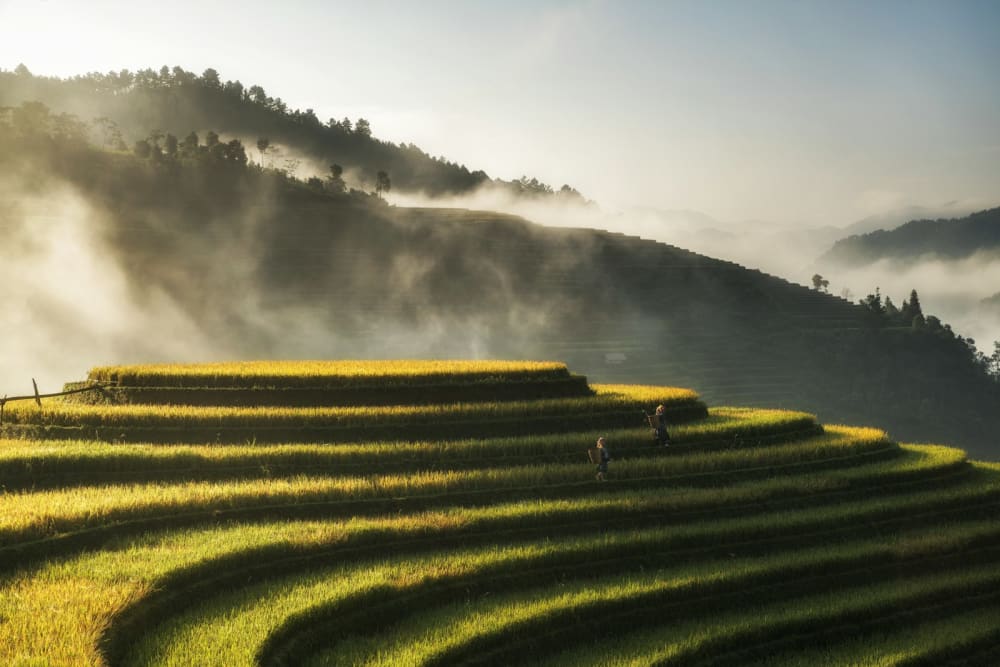 Vietnam photograph 07