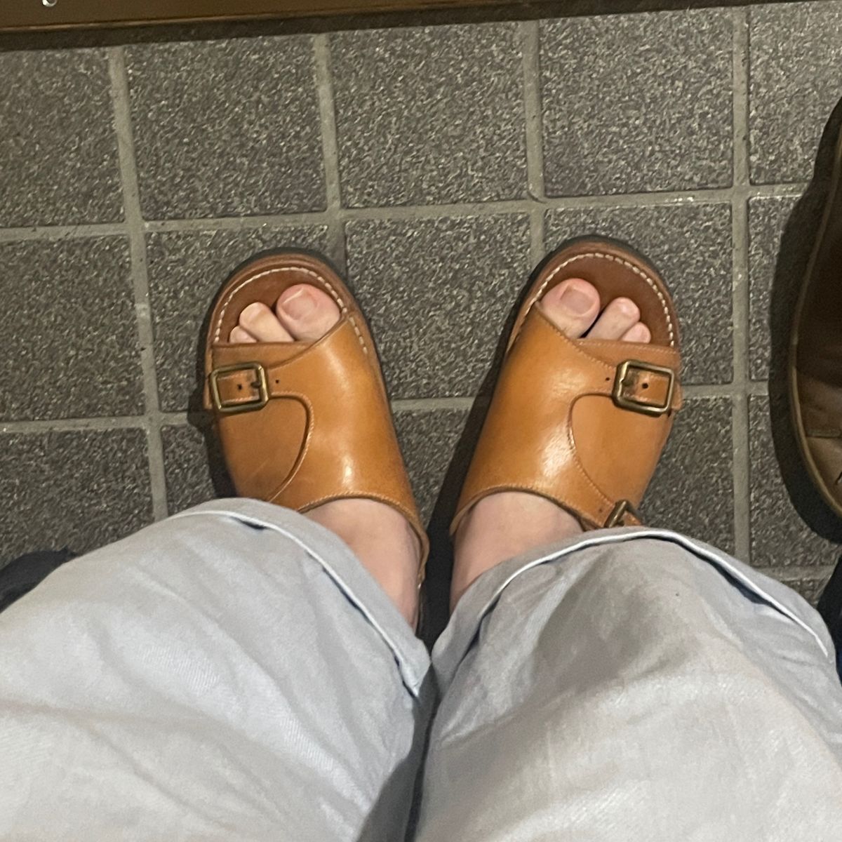朝