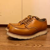 Redwing Irish Setter