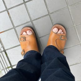 朝