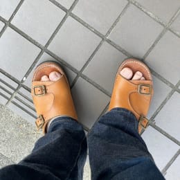 朝