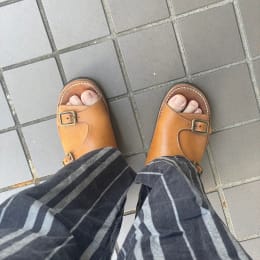 朝