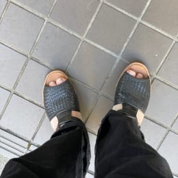 朝