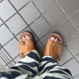 朝