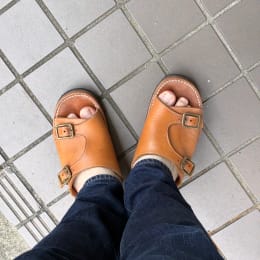 朝