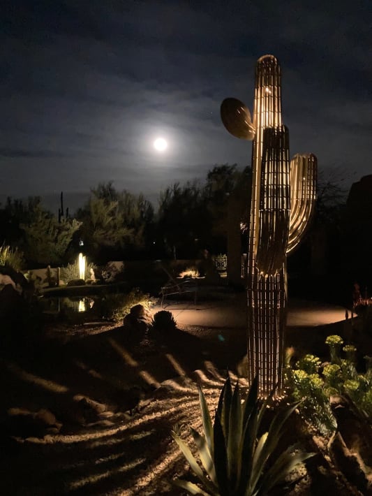 9 ft Saguaro with nub lit up with LED Spotlights at night.