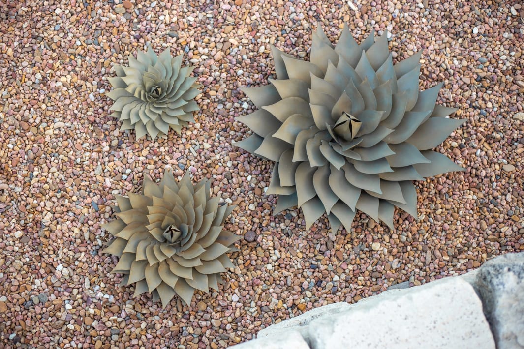 All—A Small, Medium, and Large Spiral Aloe in hardscape.