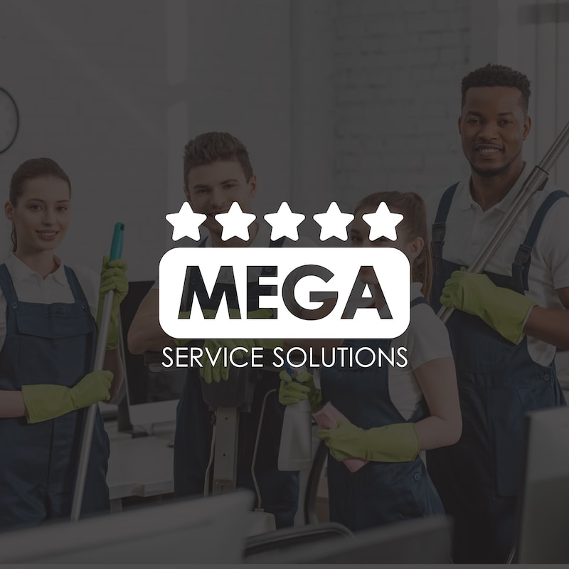 Mega Service Solutions  Case Study