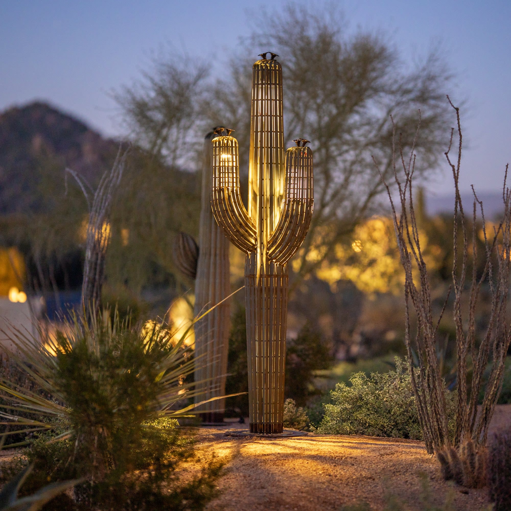 7ft—7 ft Saguaro Cactus internally lit with LED Spotlights at dusk in desert landscape among native plants.