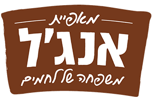 06-1