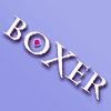 Boxer Games logo