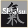 Shiatsu Body Oil