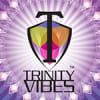 Trinity Vibes logo