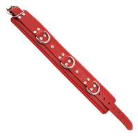 Porduct image for Rouge Garments Red Padded Collar