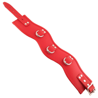 Porduct image for Rouge Garments Red Padded Posture Collar