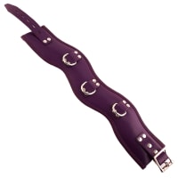 Porduct image for Rouge Garments Purple Padded Posture Collar