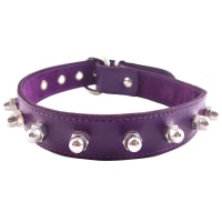 Porduct image for Rouge Garments Purple Nut Collar