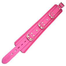 Buy Rouge Garments Pink Padded Collar Online