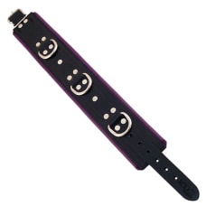 Buy Rouge Garments Black And Purple Padded Collar Online