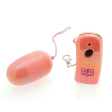 Buy Remote Controlled Vibrating Egg Online