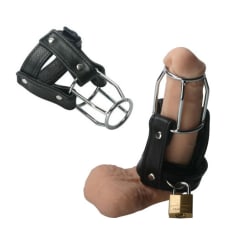 Buy Strict Leather Stallion Guard Online