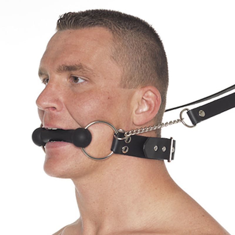 Thumb for main image Leather Horse Bit Gag and Reins