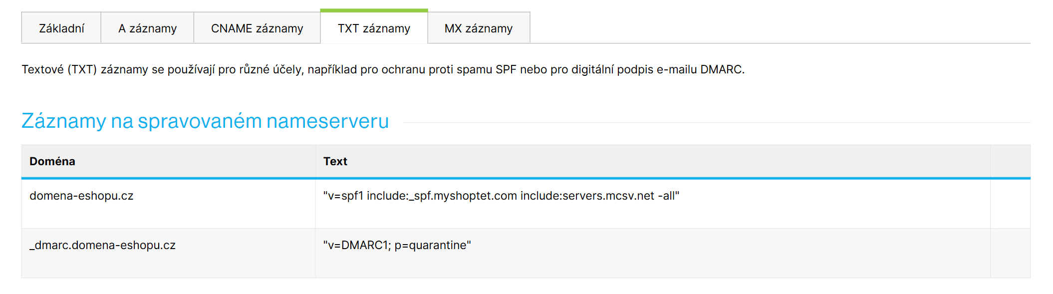 Nastavení → Hosting → DNS, záložka TXT záznamy