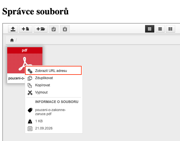 Správce souborů s nabídkou po kliknutí pravým tlačítkem na nahraný soubor a volbou Zobrazit URL adresu