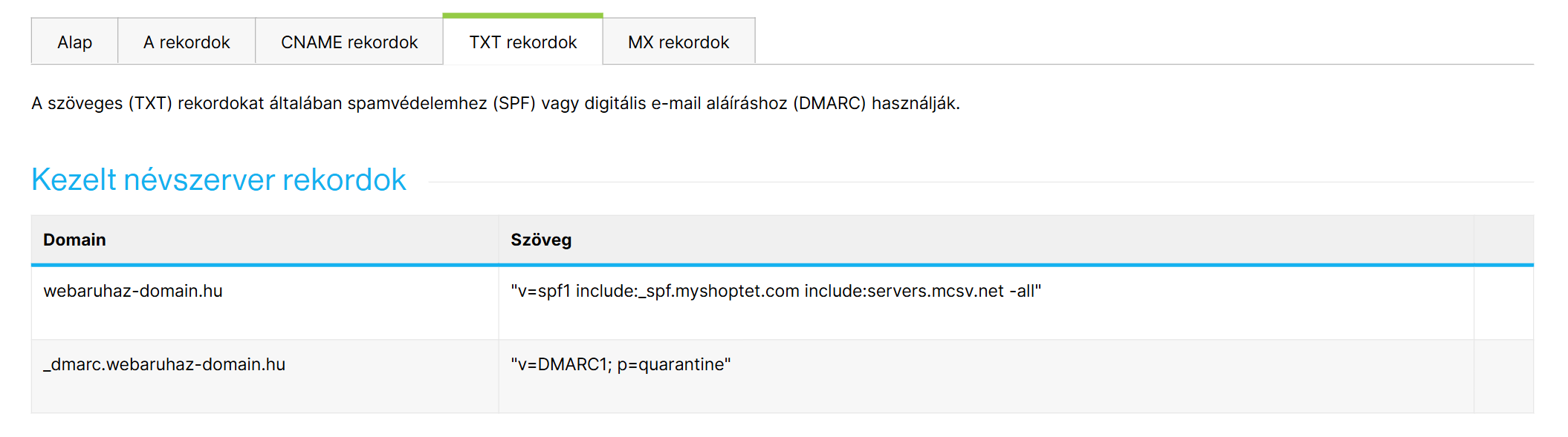 Beállítások → Tárhely → DNS beállítások, TXT rekordok fül