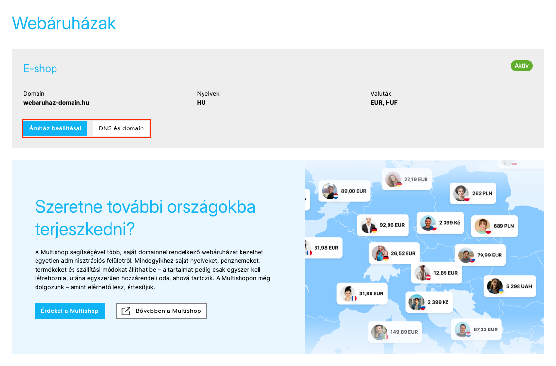 A Webáruházak oldal a webáruház kártyájával, a kiemelt Áruház beállításai és DNS és domain gombokkal, valamint a Multishop dobozzal