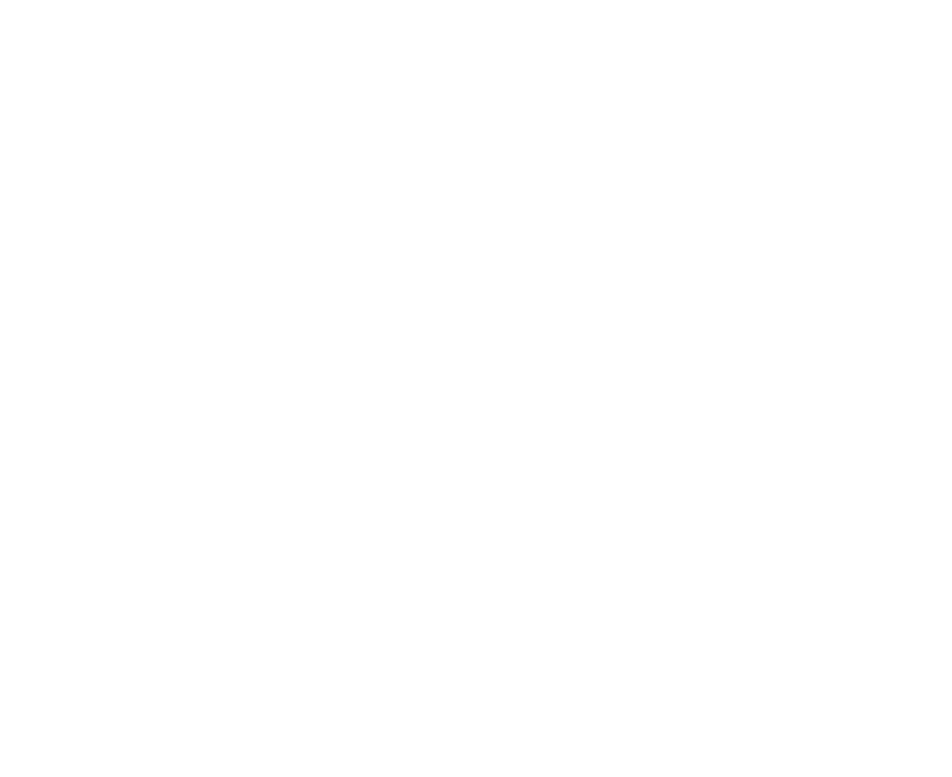 Druhy e-shopových řešení