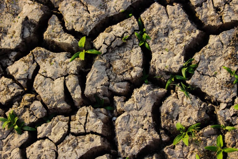 Wasserknappheit: Lösungen und Maßnahmen für deinen Betrieb