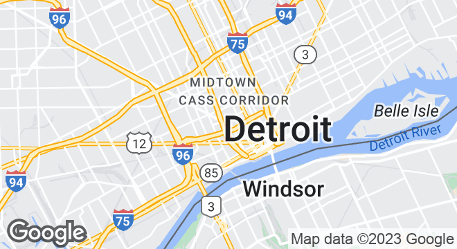 2940 Woodward Ave, Detroit, MI 48201, USA