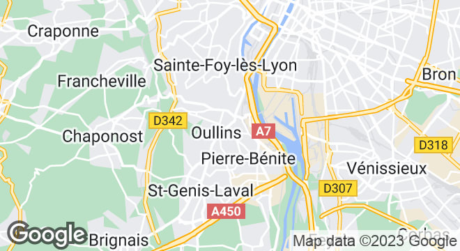 80 Rue Dubois Crancé, 69600 Oullins, France