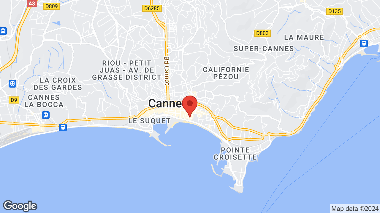 13 Rue Gérard Monod, 06400 Cannes, France