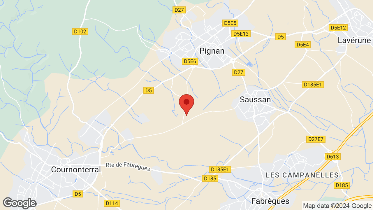 107 Chem. de, La Plaine, 34570 Pignan, France